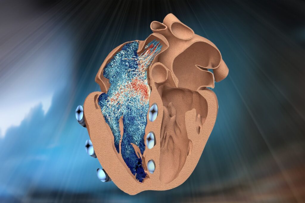 Así es el corazón robótico que imita los latidos y el bombeo de sangre