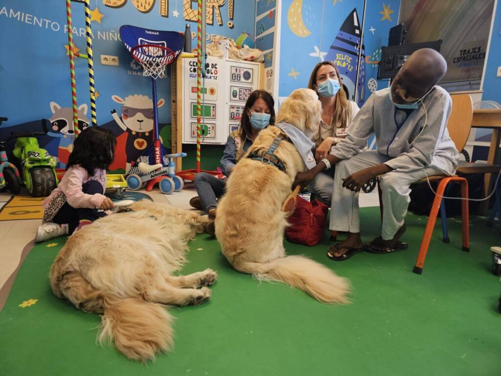Así es la terapia con perros en pacientes pediátricos oncológicos. Se trata de un nuevo programa del Hospital Universitario 12 de Octubre de Madrid. 
