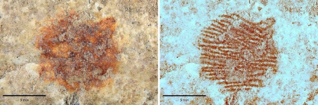 ¡Así es la huella dactilar humana más antigua del mundo!