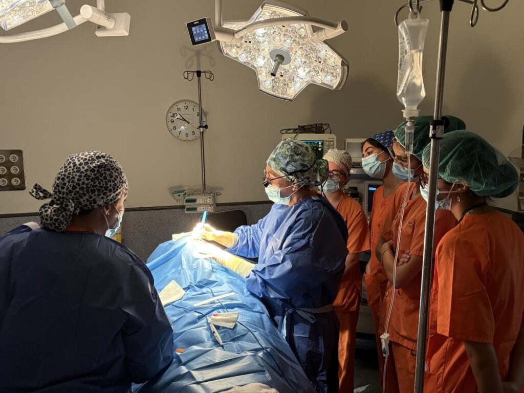 ¿Sabes qué es la Oculoplástica y su importancia para la salud visual?