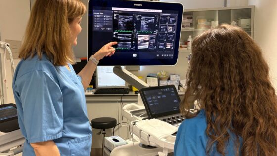 El proyecto ayudará a entender mejor como prevenir infartos, ictus y otras patología graves del corazón y el cerebro a través de pruebas médicas sencillas.