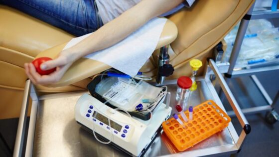 Donación de células madre para el trasplante de médula ósea.