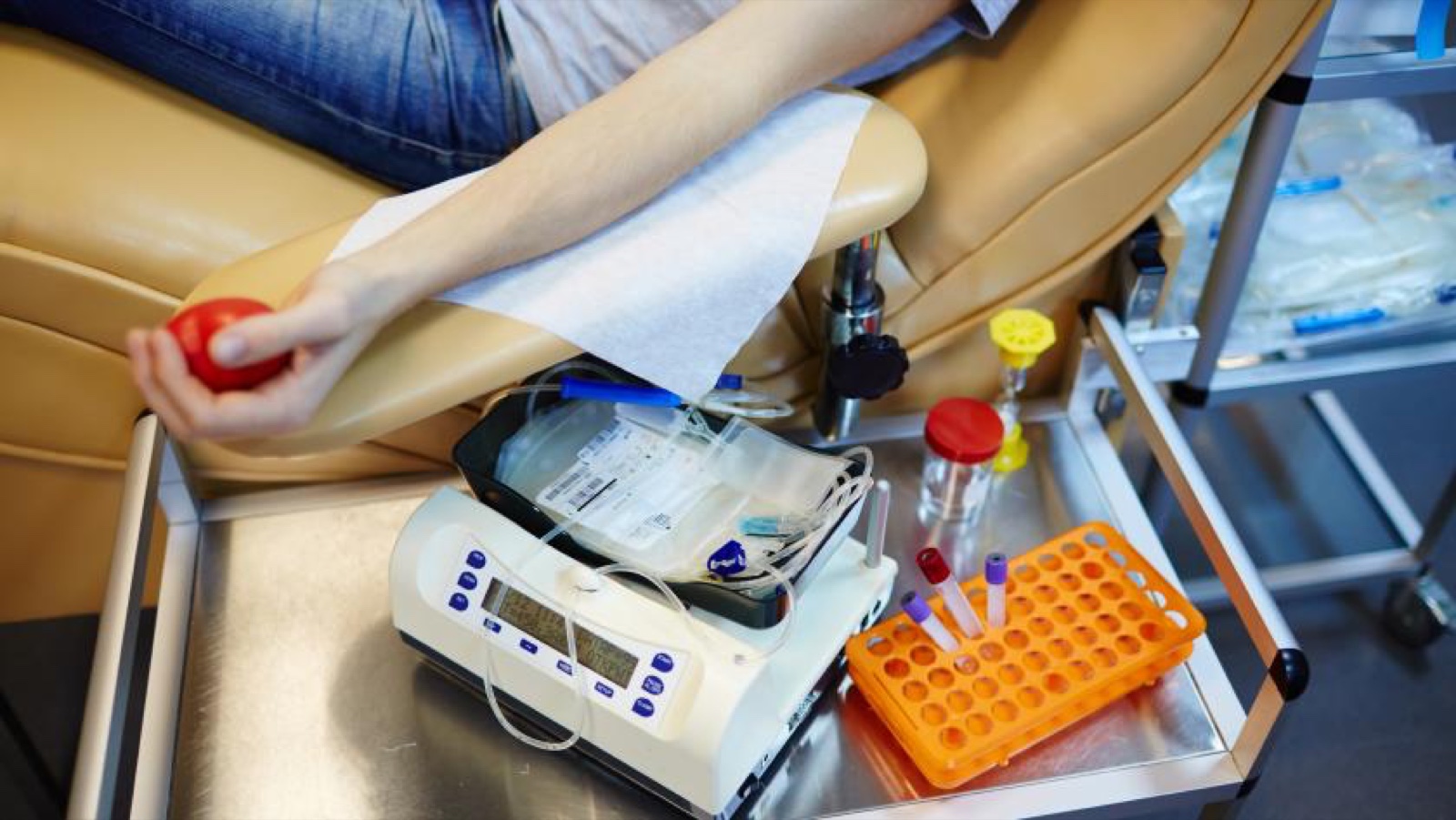 Donación de células madre para el trasplante de médula ósea.