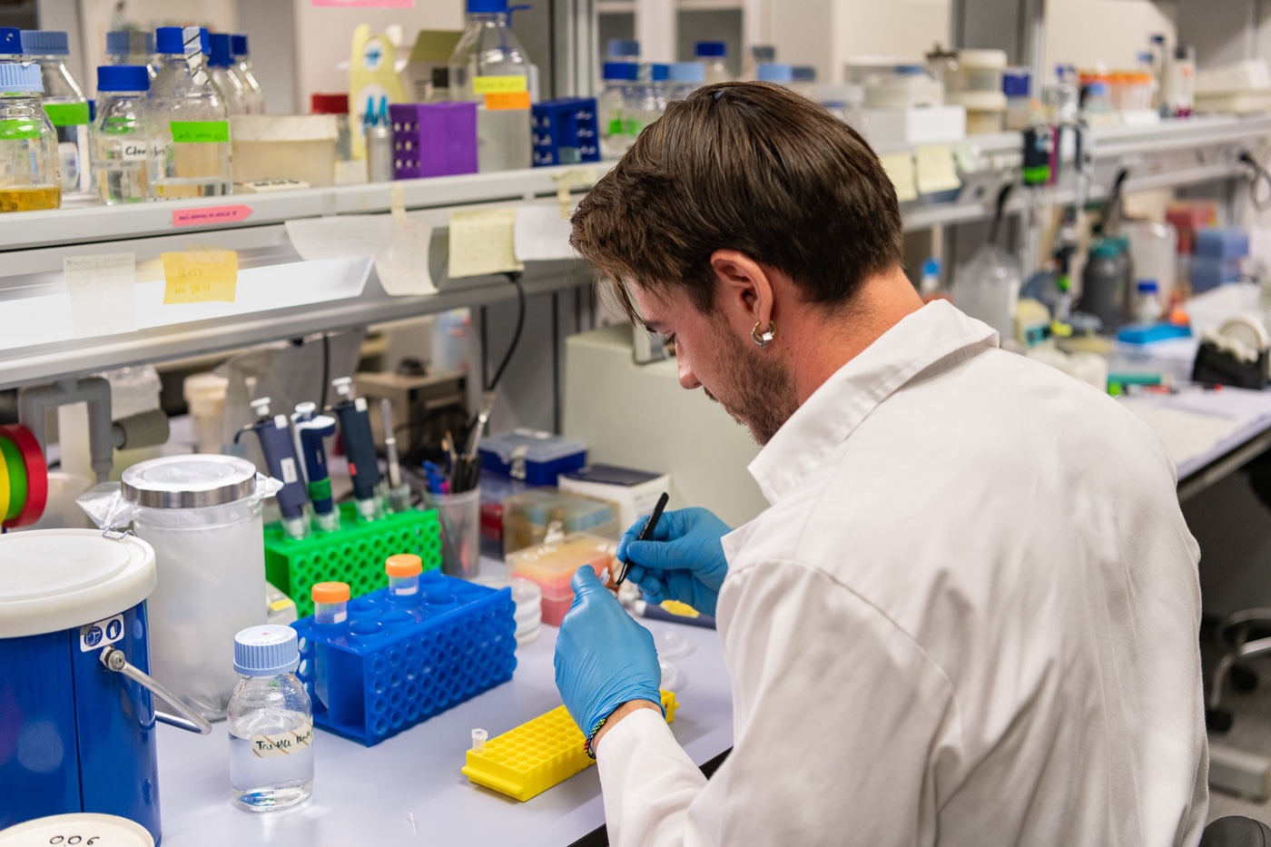 El investigador Pablo Pérez Colao en el laboratorio del IBMCP (CSIC-UPV).