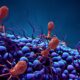 Se trata del tratamiento de un paciente que, tras sufrir graves heridas durante un conflicto bélico y someterse a varias intervenciones quirúrgicas, desarrolló una infección causada por Klebsiella pneumoniae multirresistente.