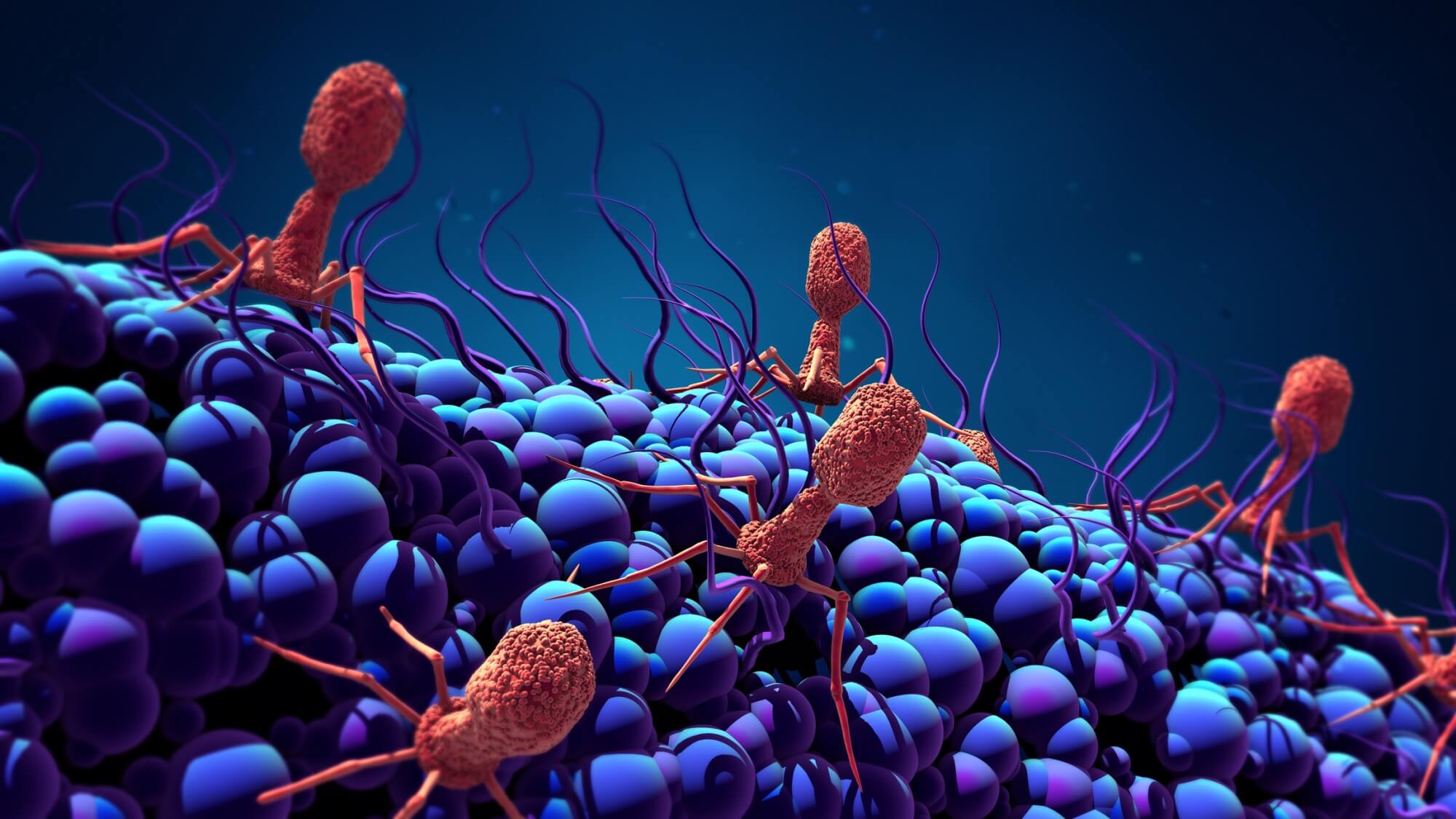 Se trata del tratamiento de un paciente que, tras sufrir graves heridas durante un conflicto bélico y someterse a varias intervenciones quirúrgicas, desarrolló una infección causada por Klebsiella pneumoniae multirresistente.
